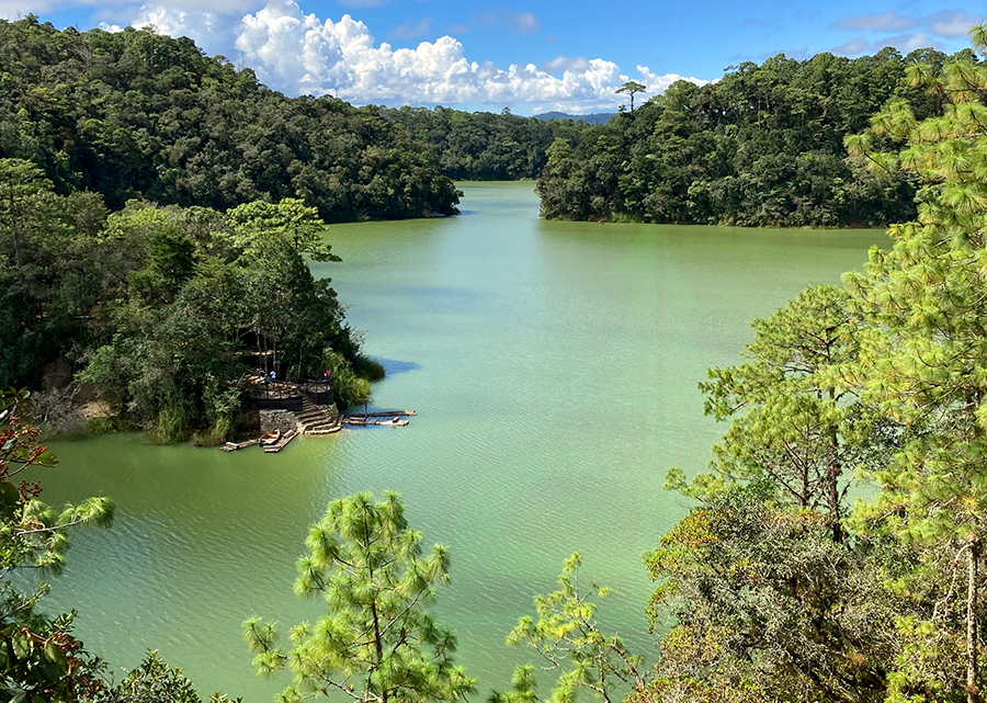 gorgeous green of laguna bosque azul