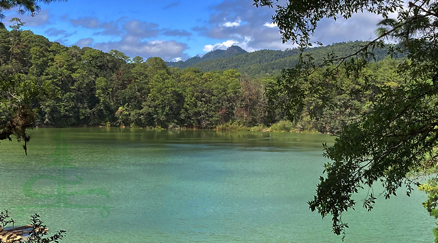 lake among the rolling forested hills