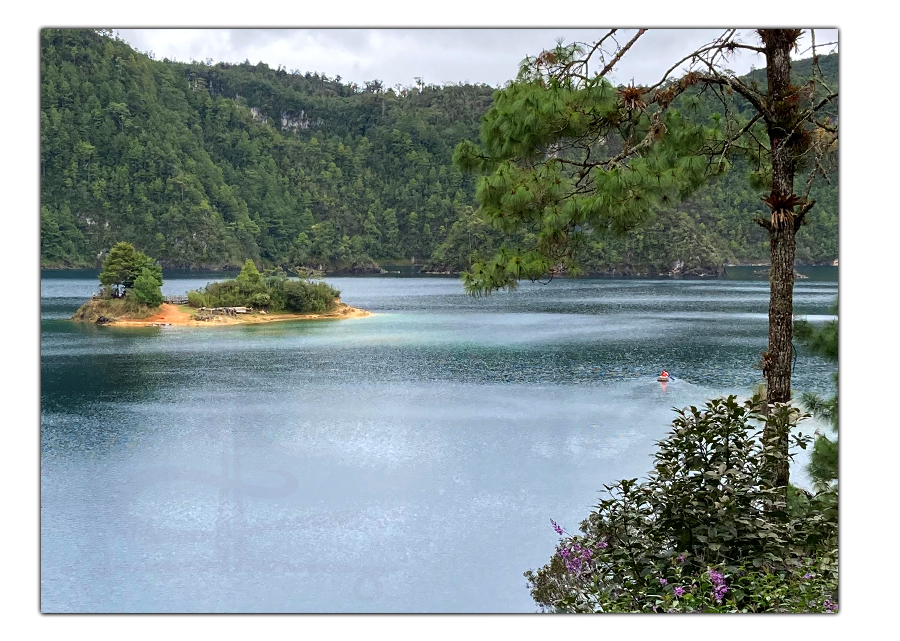 rowing out to orchid island on laguna pojoj