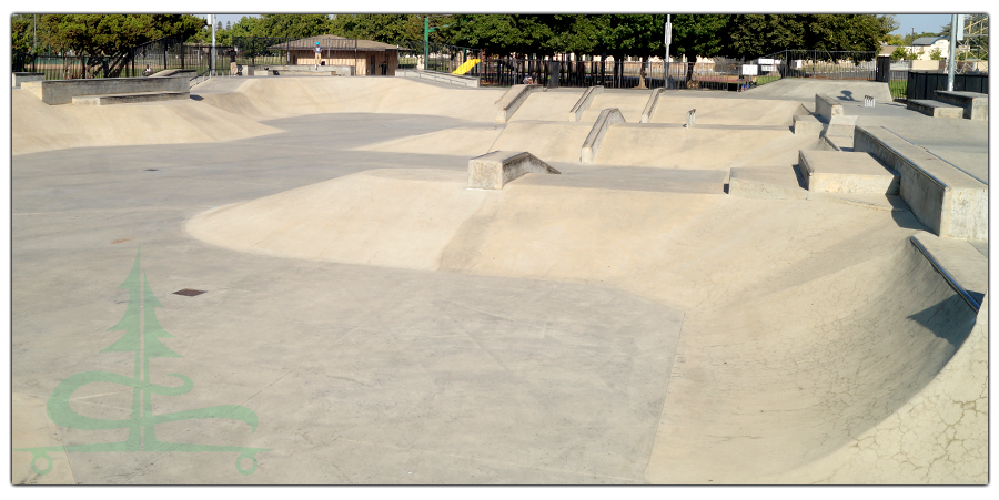 ramps, ledges and banked turns at the lions skatepark 