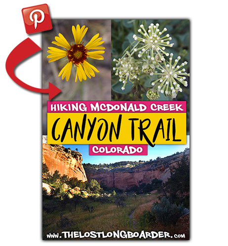 save this hiking mcdonald creek canyon trail article to pinterest