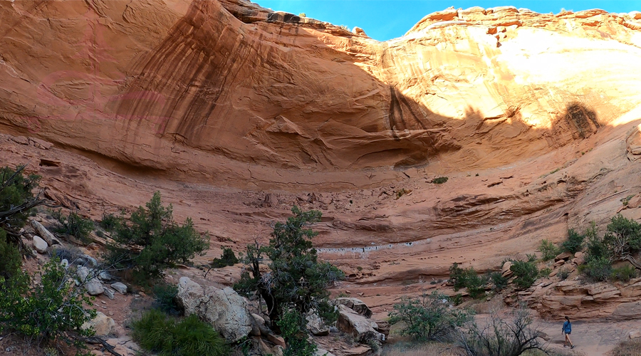 towering canyon walls in mcinnis canyon national conservation area