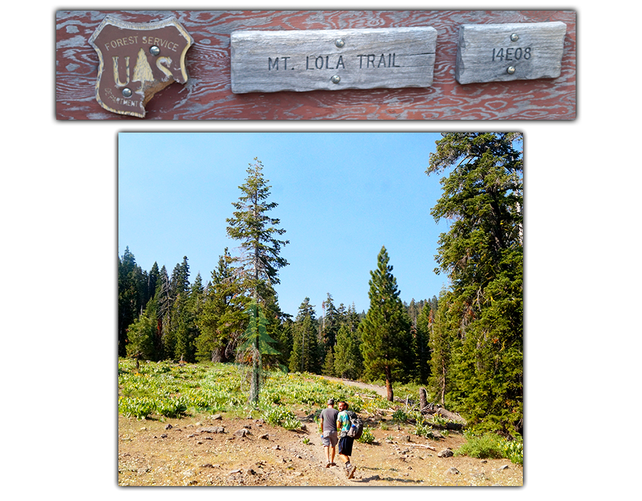 hiking mt lola trail through tahoe national forest