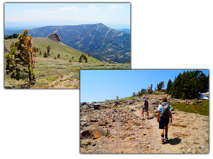 getting above the treeline hiking mt lola trail