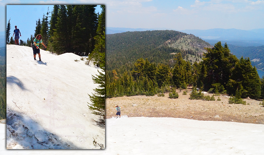 using the snow to get down mt lola trail faster