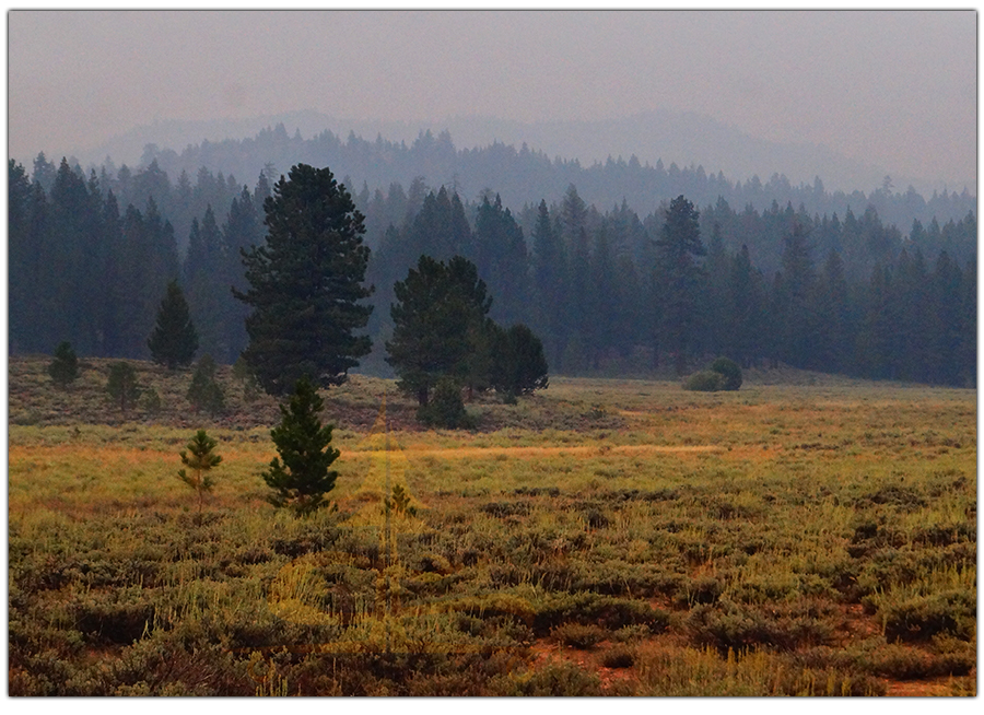 vast meadow view from great camp spot near truckee