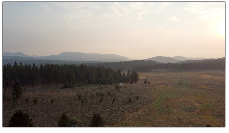 vast meadow among the trees in tahoe national forest