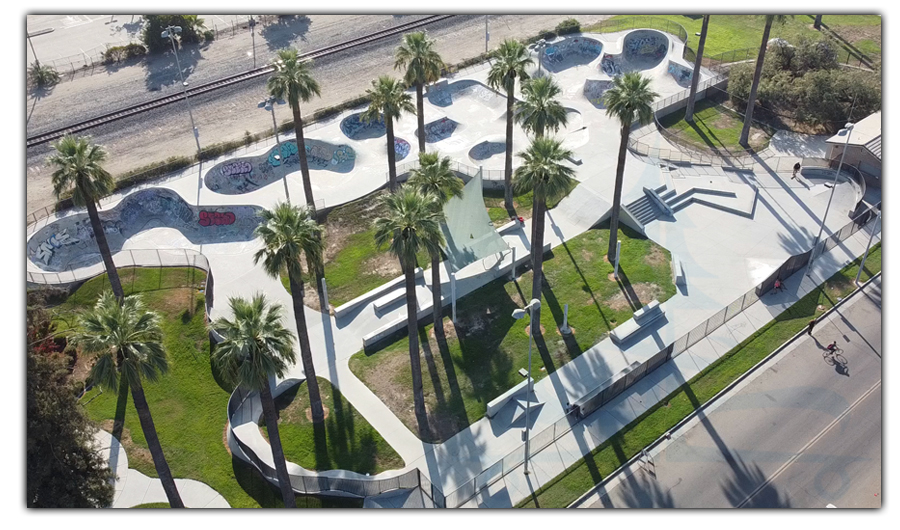 tall palms and unique layout at the skatepark in tulare