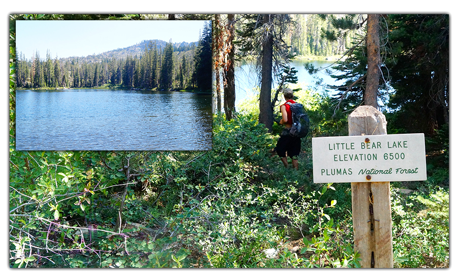 little bear lake in plumas national forest