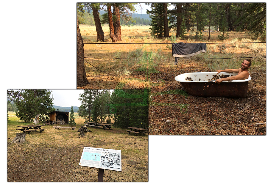 wheeler sheep camp exhibit in tahoe national forest