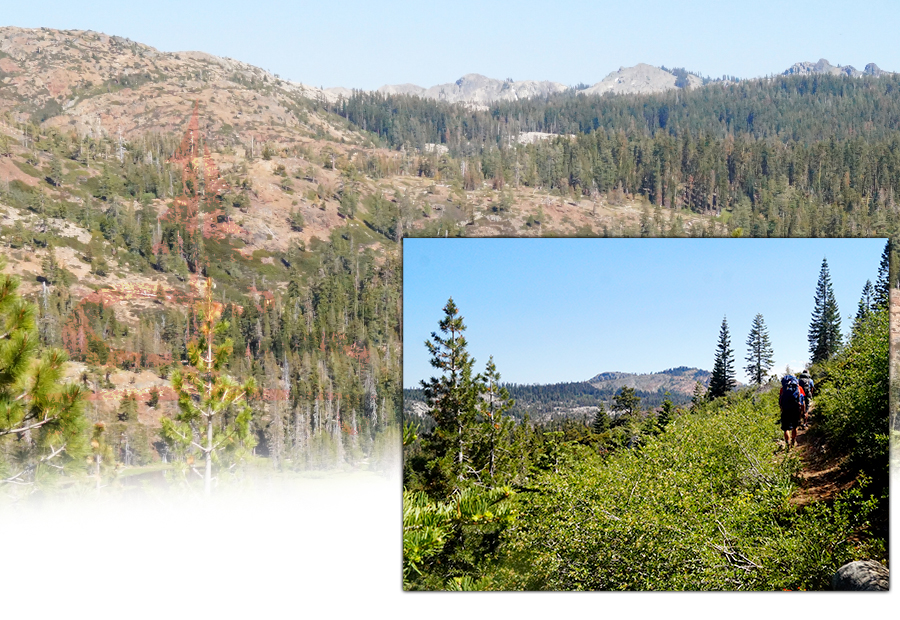 backpacking grouse ridge loop