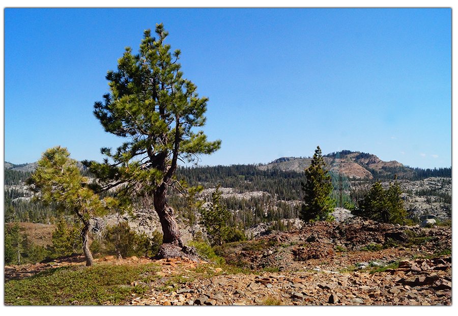 rocky mountain views from grouse ridge trail