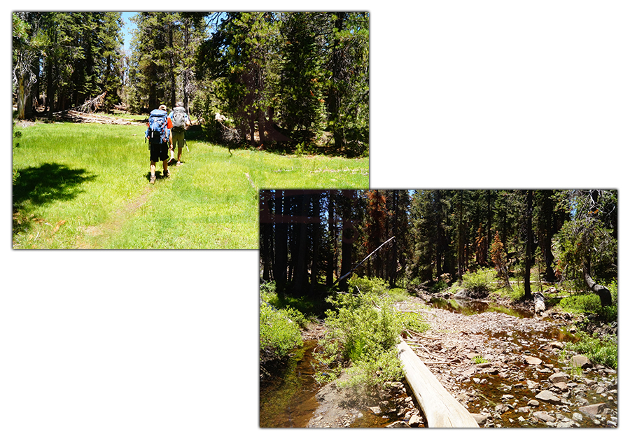 creek crossing while backpacking grouse ridge trail