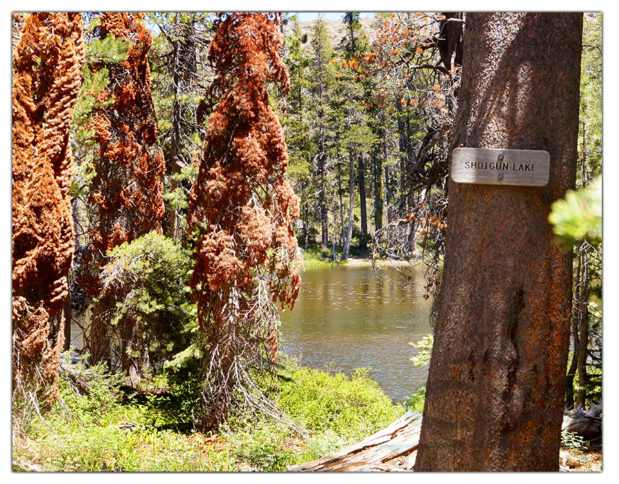 shotgun lake on grouse ridge trail loop