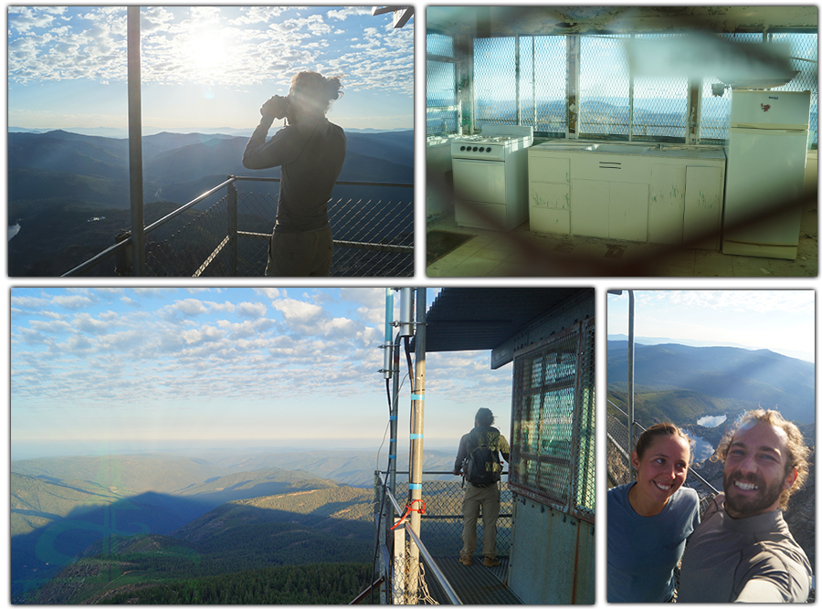 view from the top of sierra buttes lookout tower