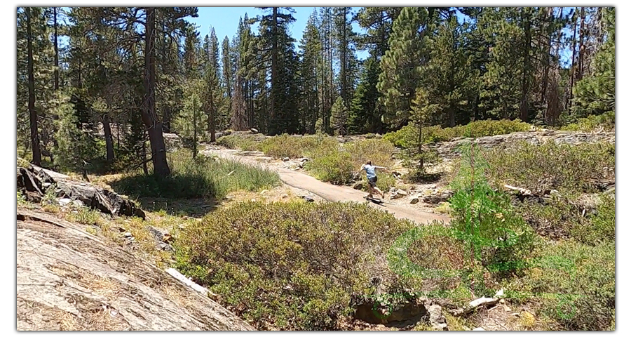 kicking uphill on the longboarding trail