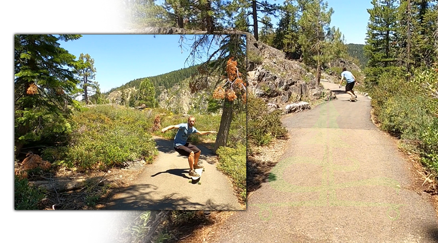 longboarding trail in the forest