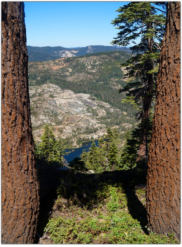 ascending mount elwell in plumas national forest