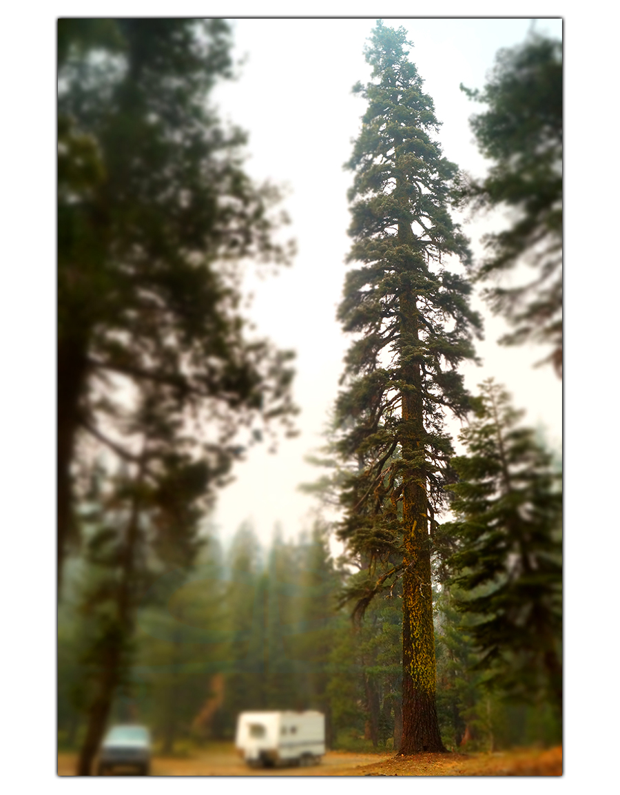 dispersed camping near the sierra buttes