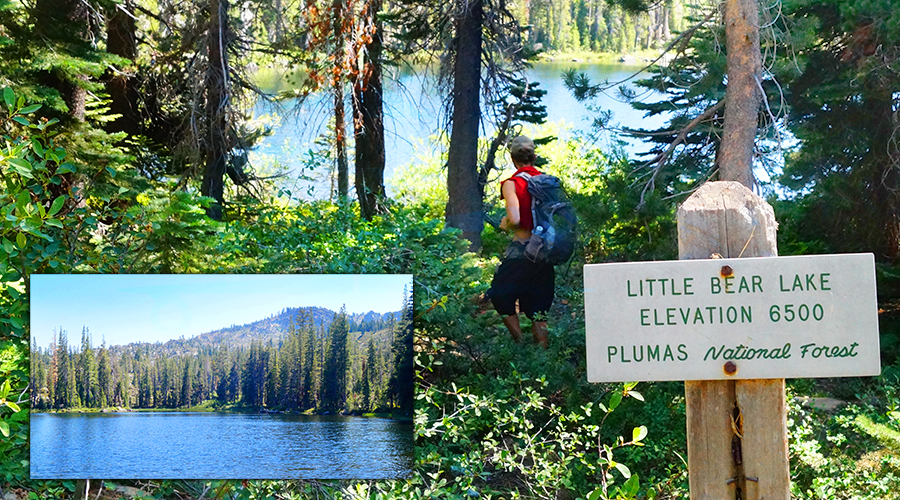 little bear lake in plumas national forest