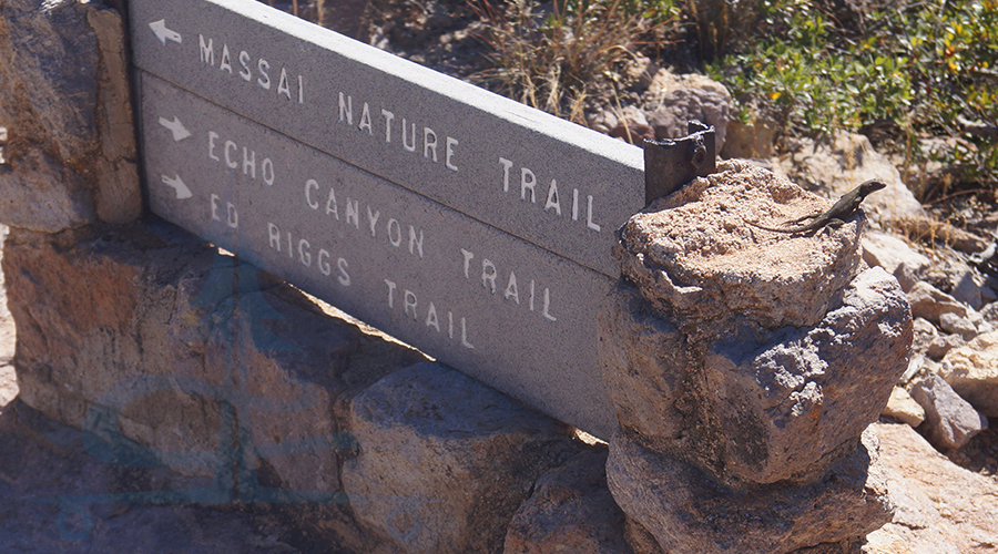 trail signs along big loop hike in chiricahua national monument