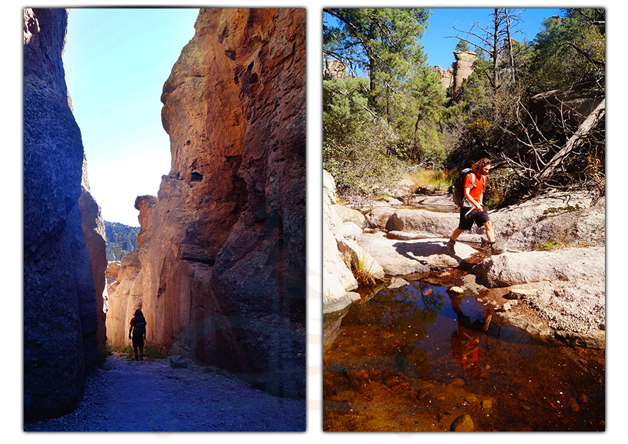 echo canyon trail segment of big loop hike in chiricahua national monument