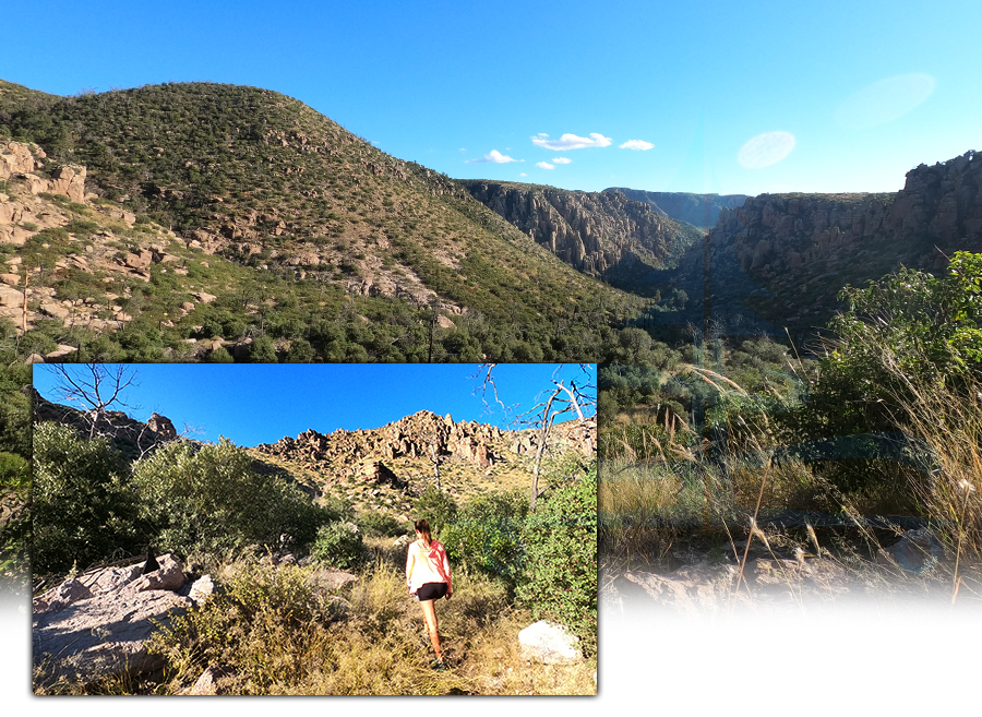 vast views of the chiricahua national monument landscape