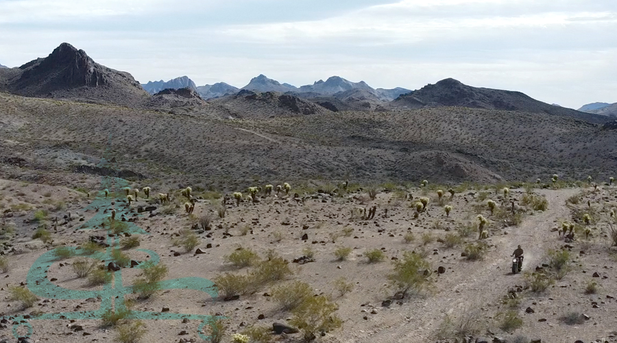 riding the mini bike through the desert