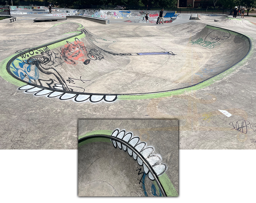 evergreen addition to scott carpenter skatepark