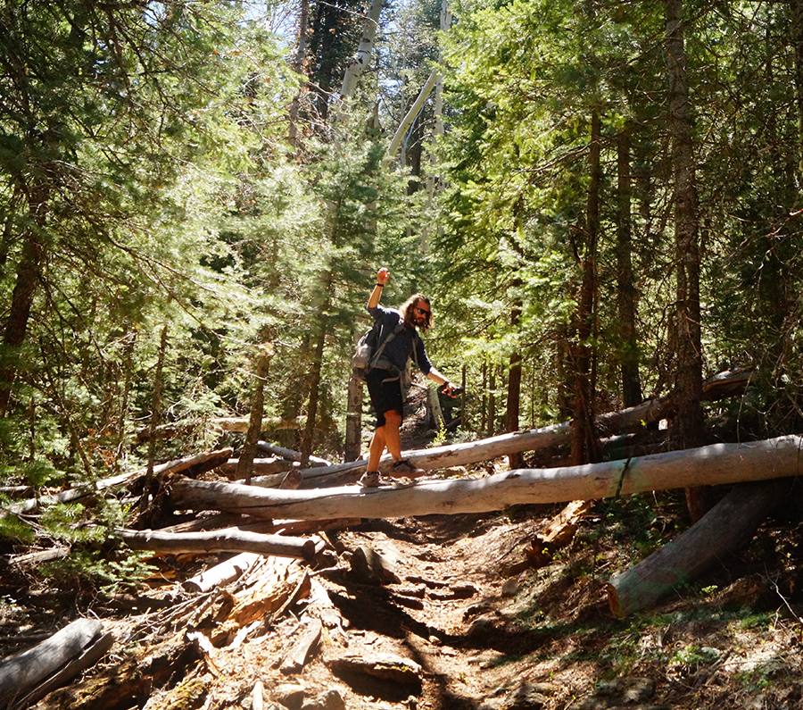 hiking in kaibab national forest 