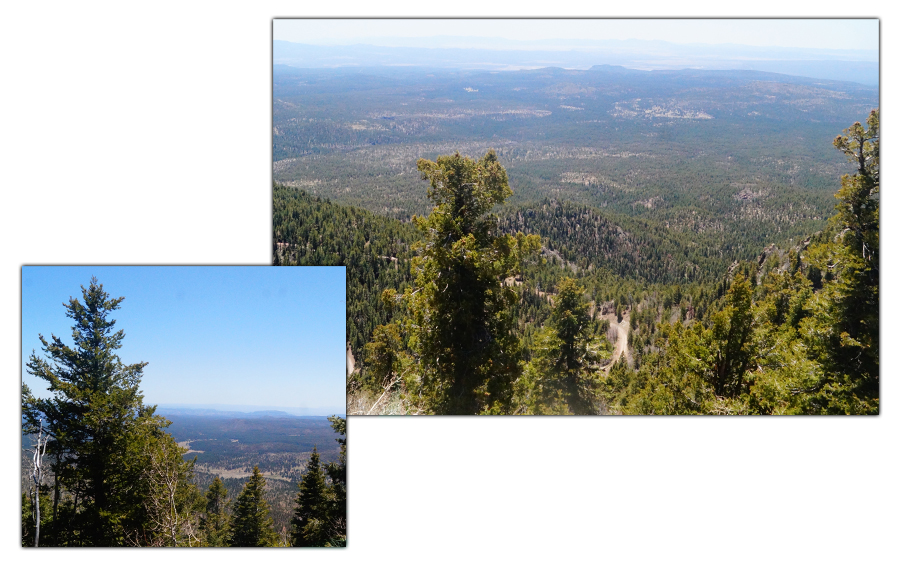 vast view from the bill williams mountain overlook