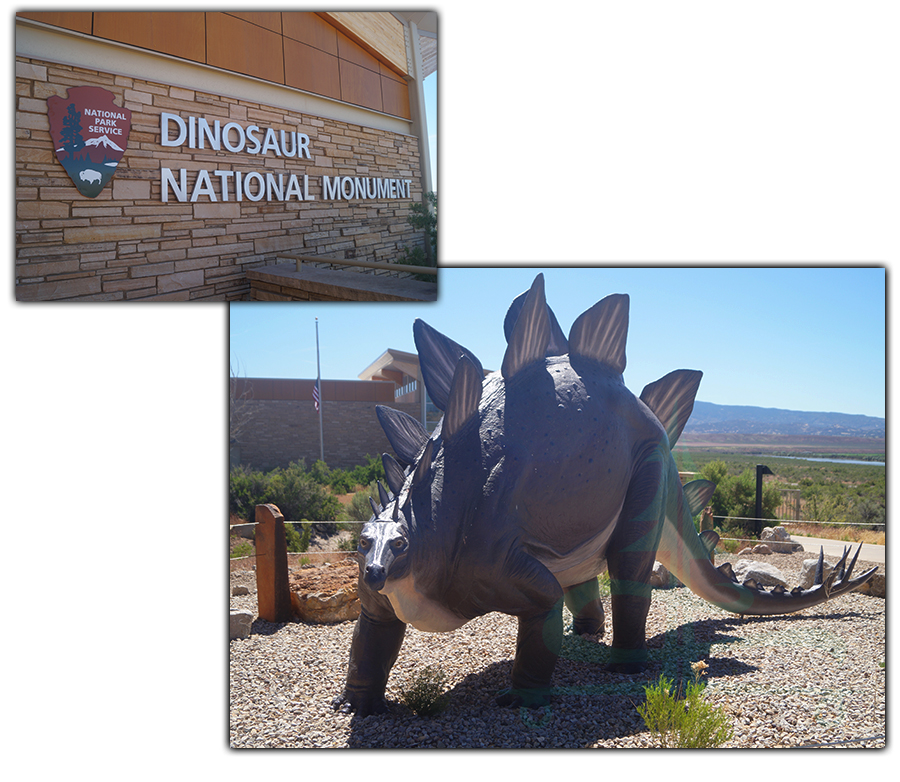 dinosaur national monument visitor center