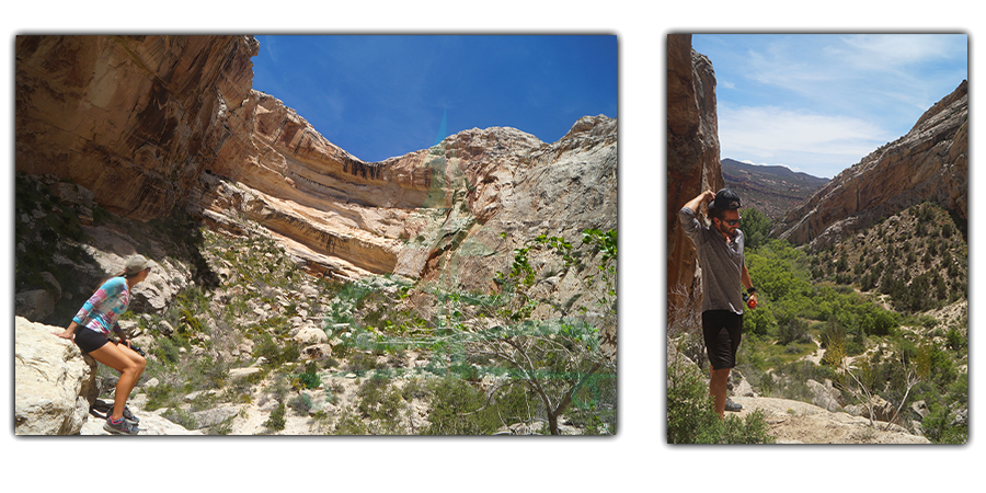 box canyon trail in dinosaur national monument 