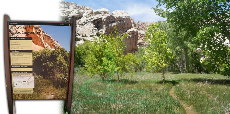 trail sign for hog canyon trail and box canyon trail 