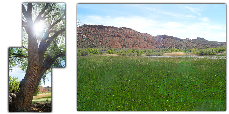 hiking to hog canyon in dinosaur national monument 