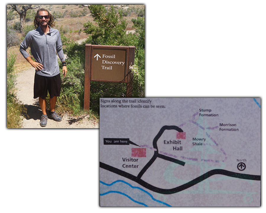 fossil discovery trail map
