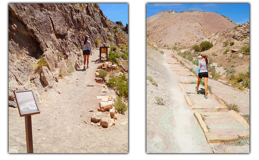 fossil discovery trail in dinosaur national monument 