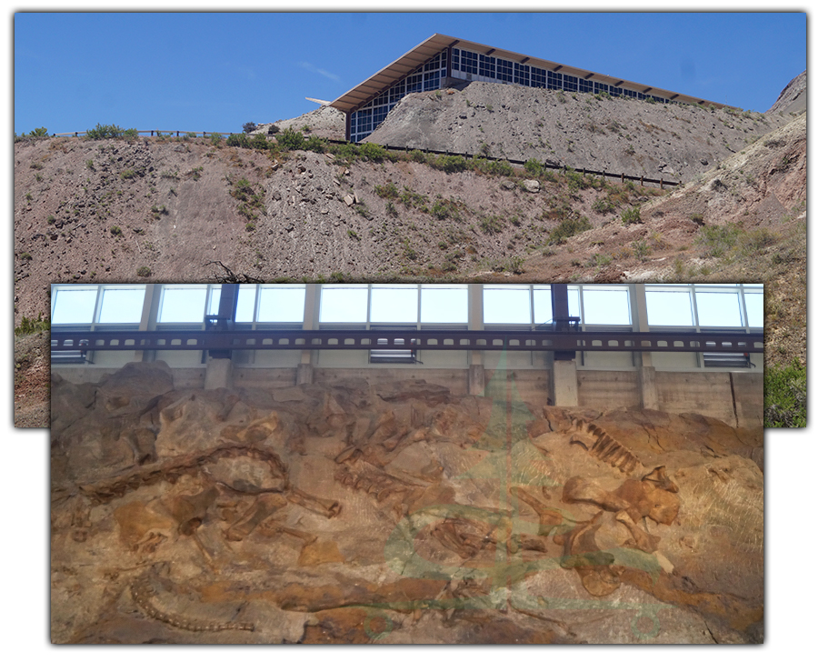 quarry exhibit hall morrison formation 