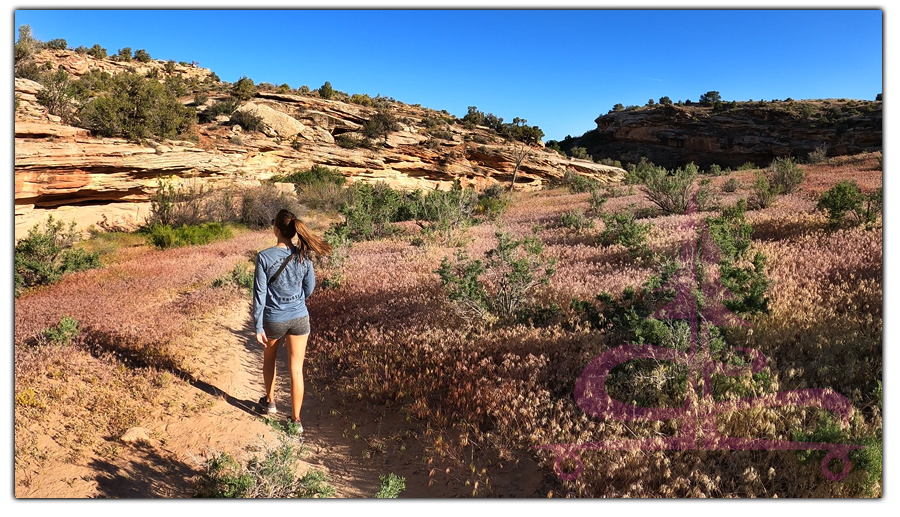 hiking mcdonald creek canyon trail