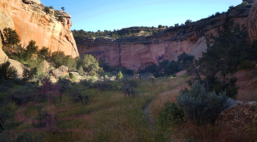 mcdonald creek canyon trail hike