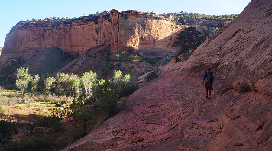 red rock canyon in mcinnis canyons nca