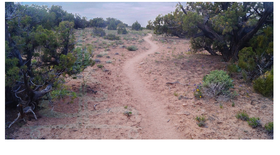 hiking up to the mesa