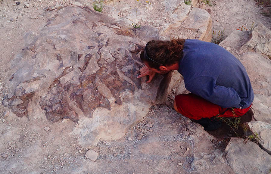 dinosaur bones on trail through time hike