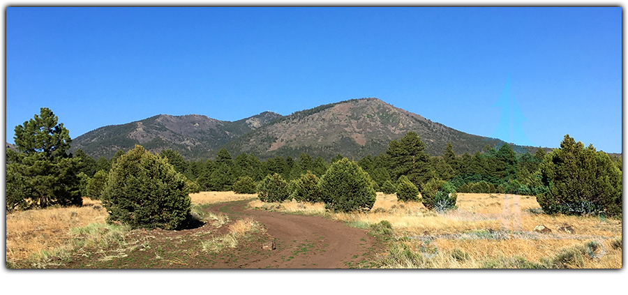 dispersed camping near williams arizona