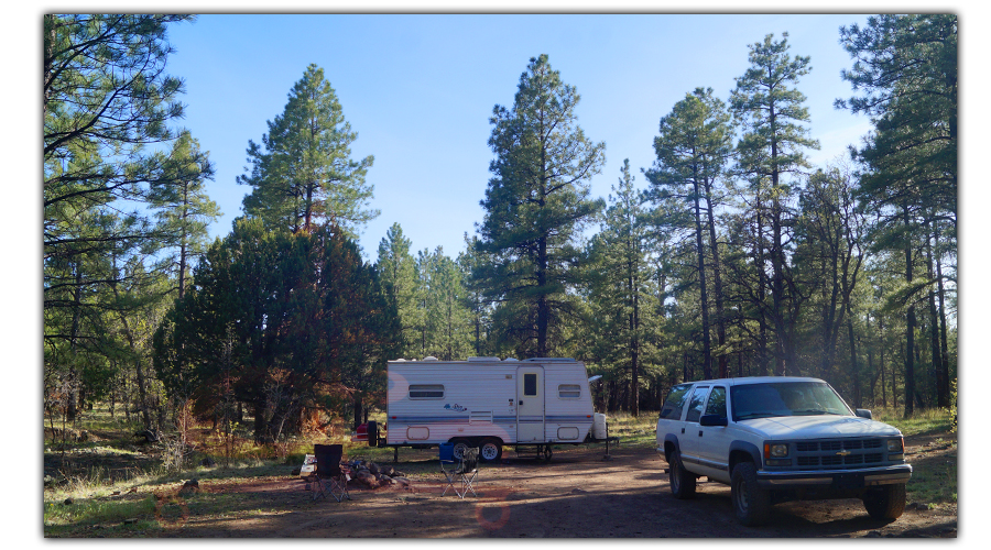 camping near williams in kaibab national forest