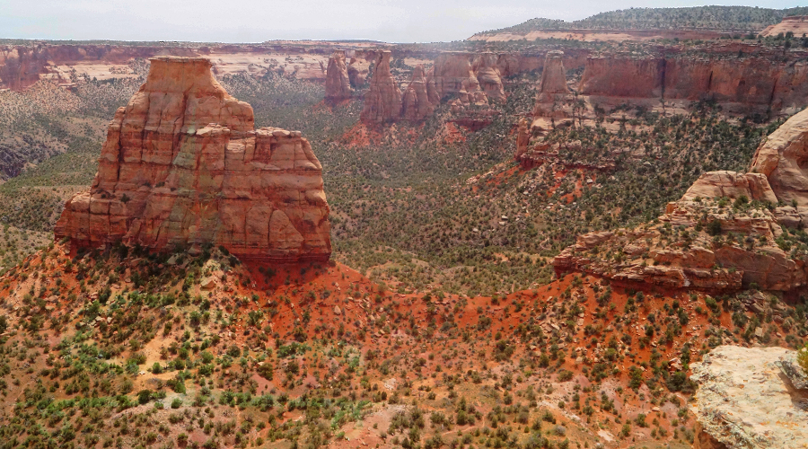 colorado national monument wedding canyon 