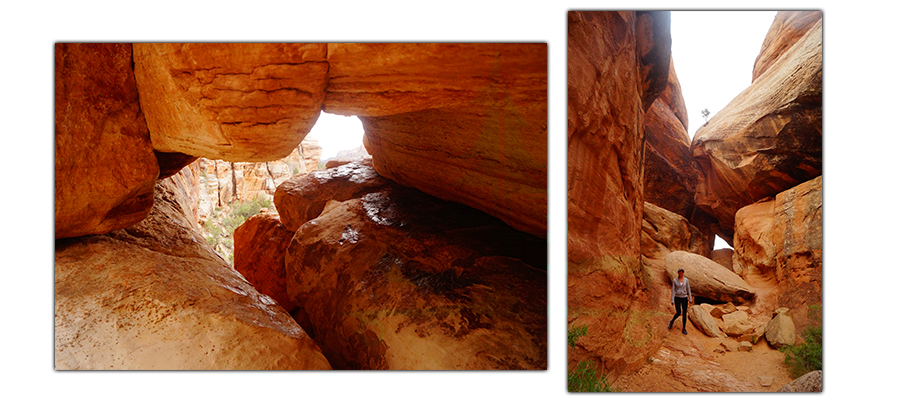 exploring the red rocks in colorado national monument