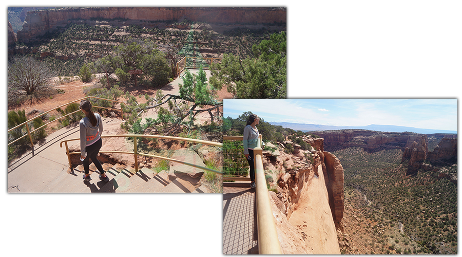 view of wedding canyon in colorado national monument 