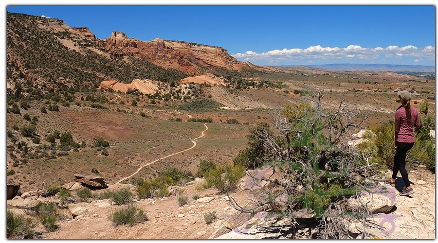 wedding canyon trail scenery