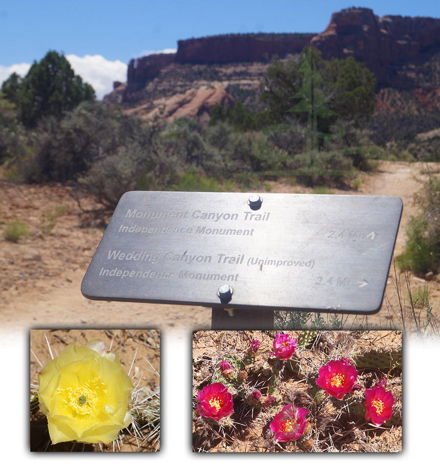 trail sign for junction on lower monument canyon loop trail